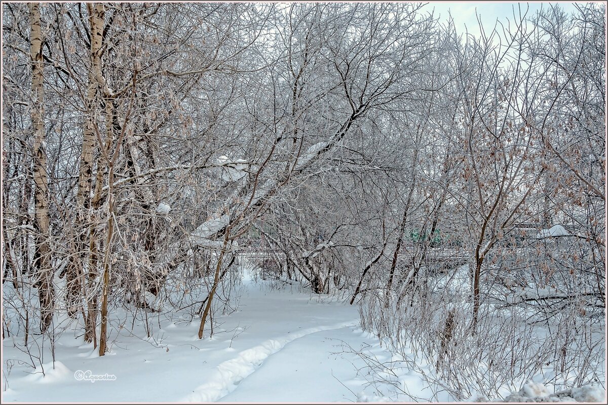 Зимний вечер... - Aquarius - Сергей