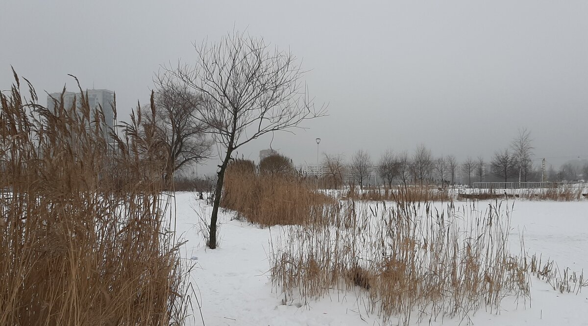 Зимний пейзаж - Наталья Герасимова