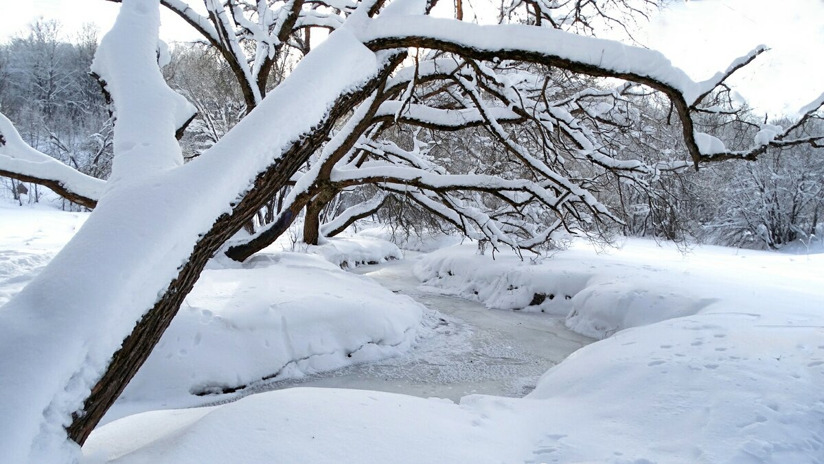 Парк во власти снега. - Милешкин Владимир Алексеевич 