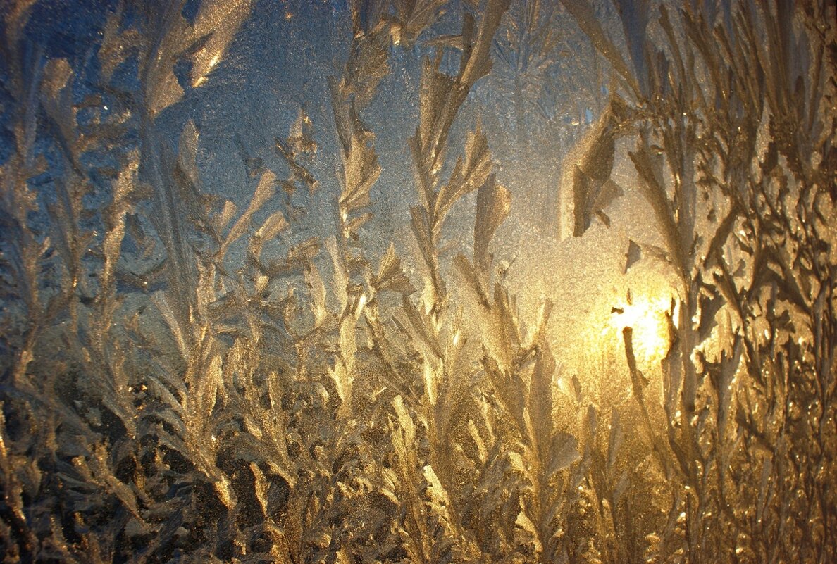 Мороза узоры на окне. Солнышко пробивается через них... - Галина Нестратова