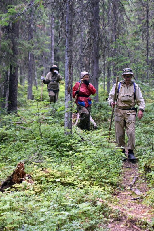 К лагерю. - ВикТор Быстров