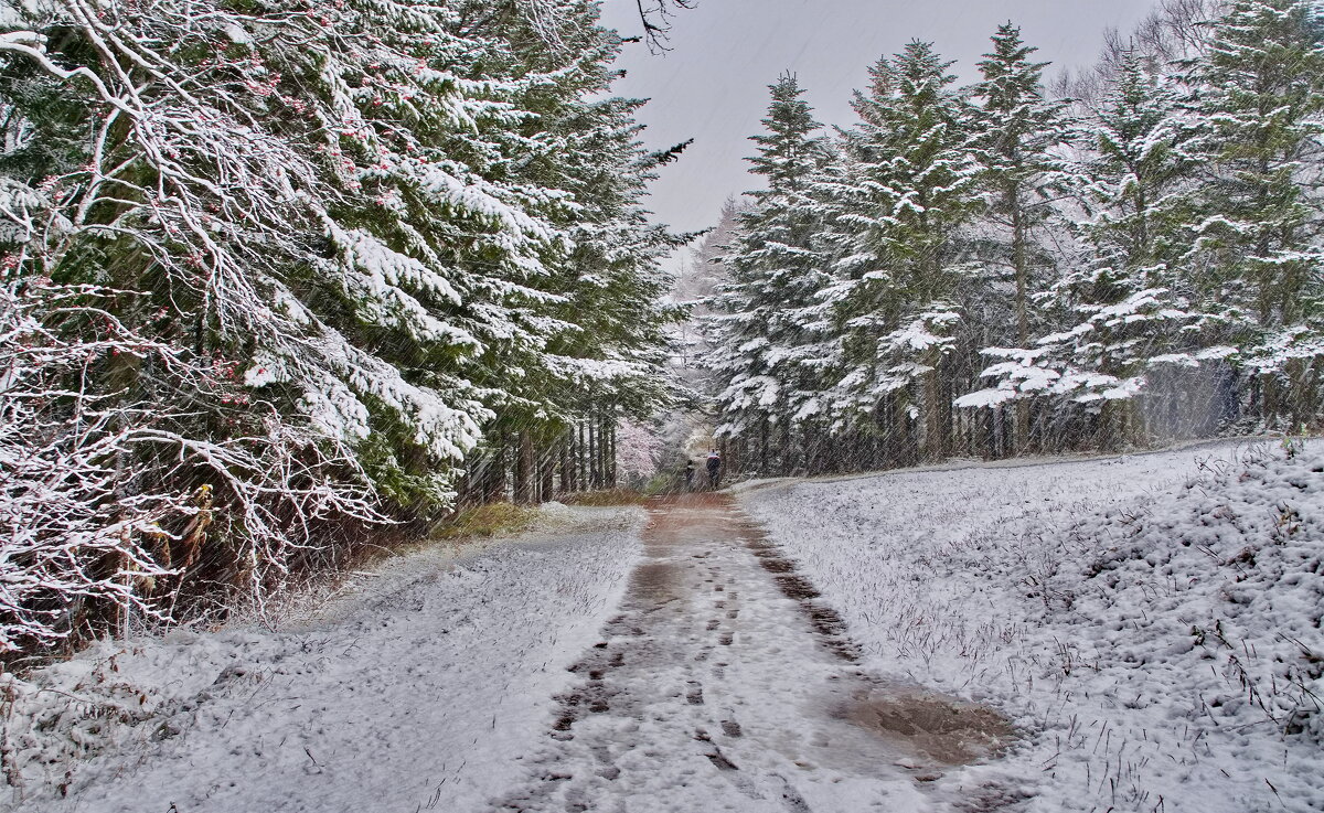 А снег идёт..., - fillarret-2 