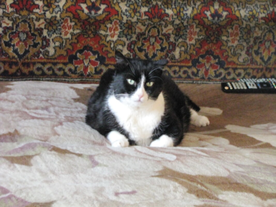 Я отдыхаю - Людмила Смородинская