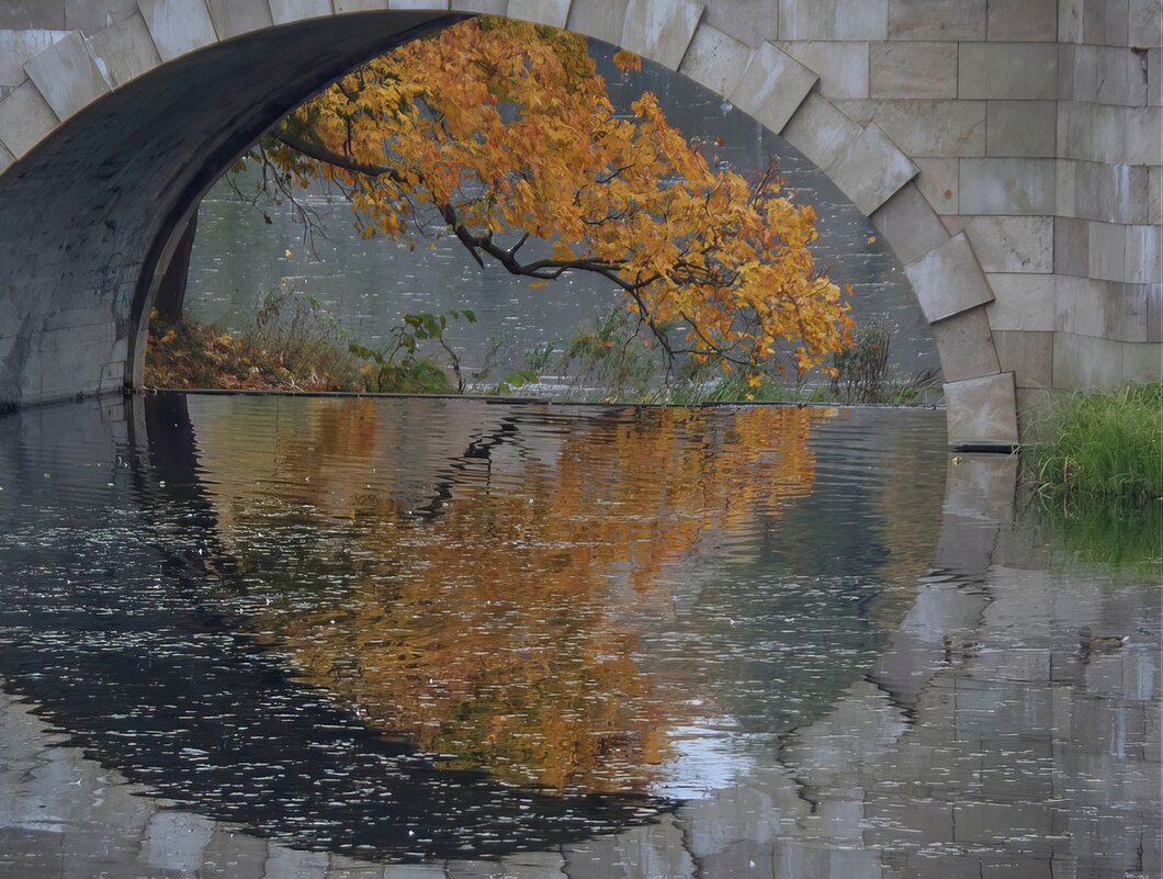 Карпин мост...... - Юрий Цыплятников