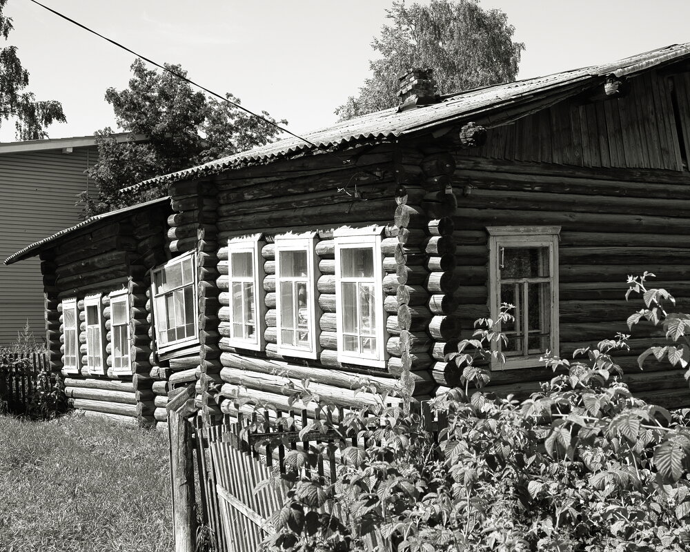 Фотография - Денис Безногов