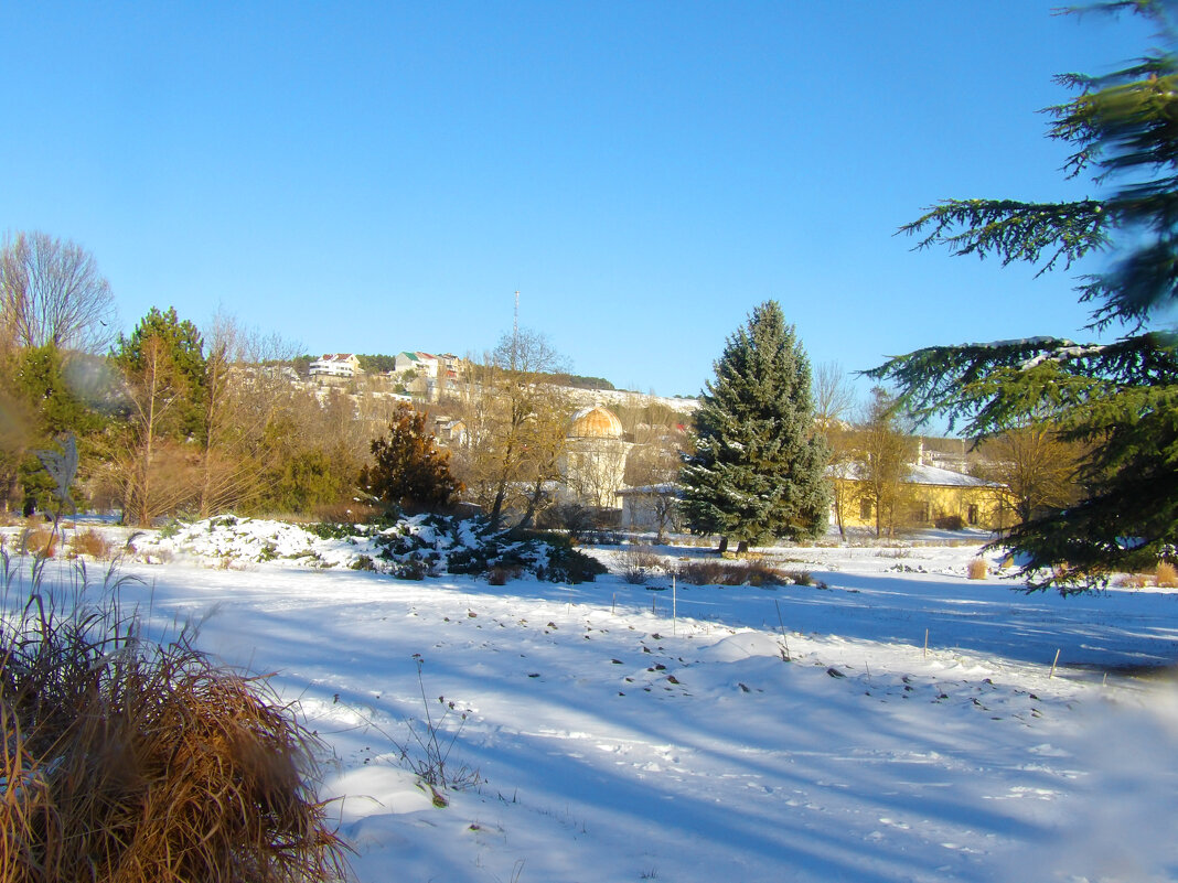 Зимний пейзаж - Валентин Семчишин