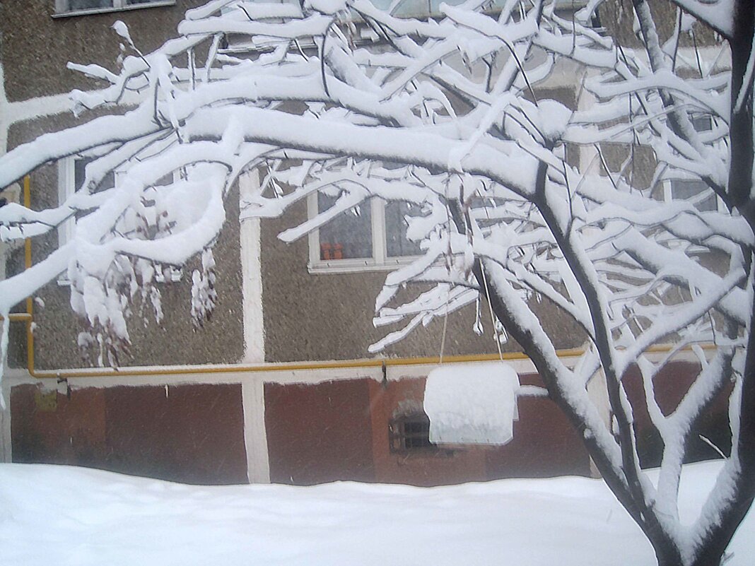 Снежной зимой - Елена Семигина