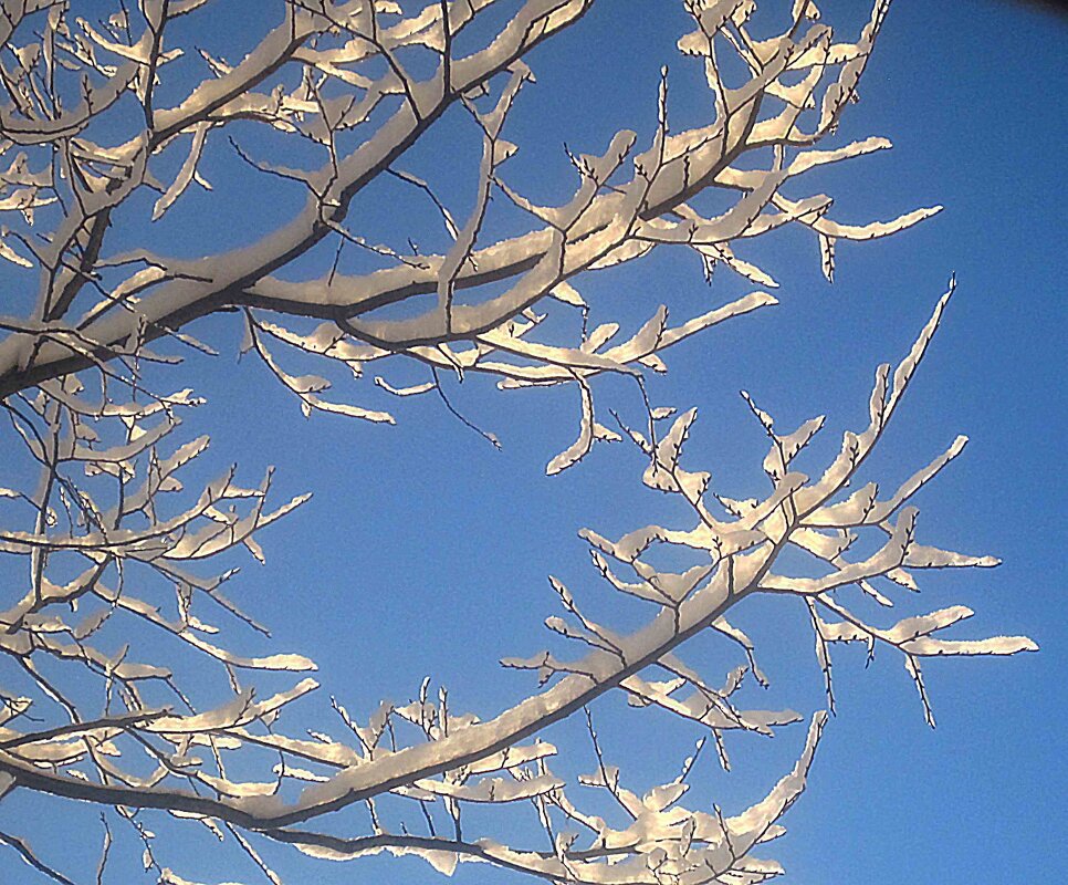 Зимнее небо - Елена Семигина