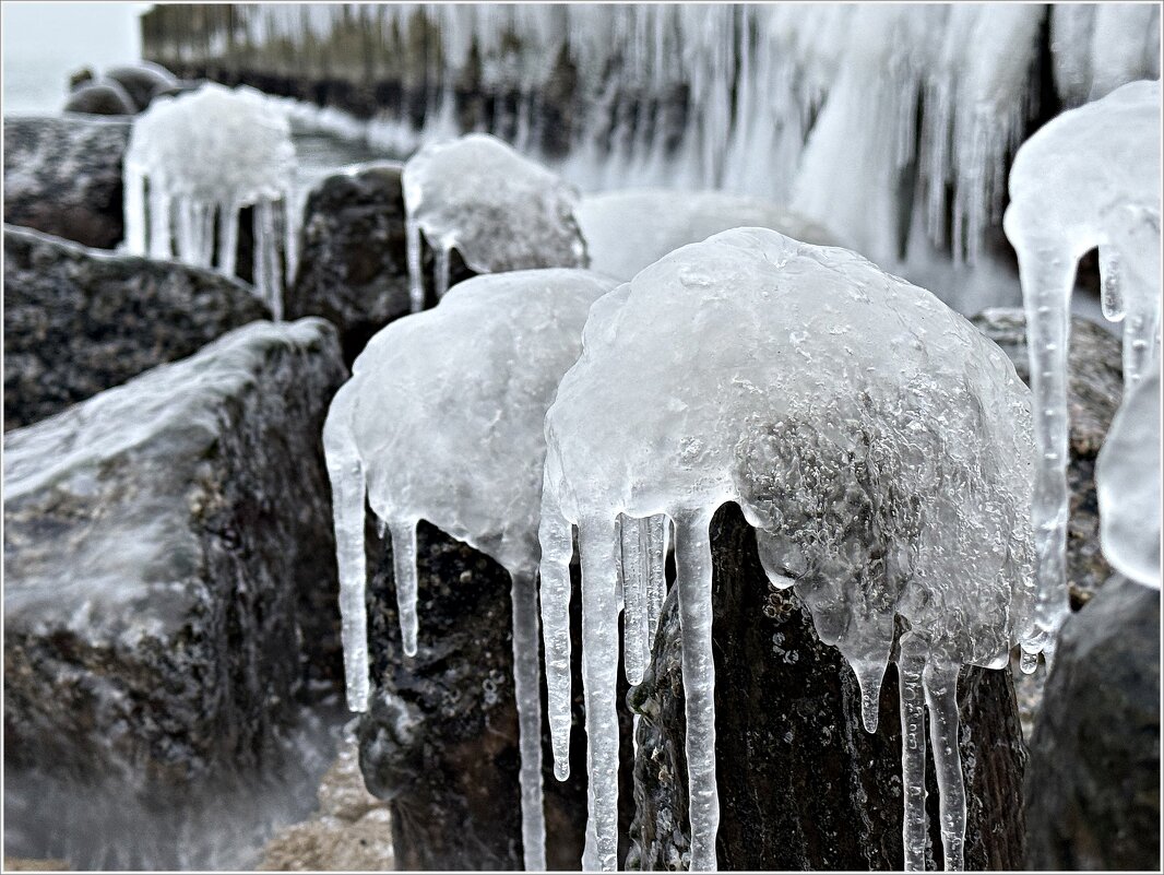 После шторма и мороза. - Валерия Комова