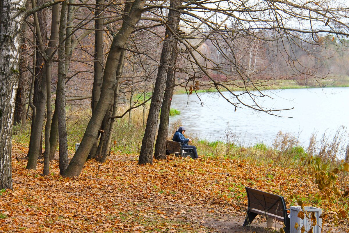 УЕДИНЕНИЕ С ПРИРОДОЙ В ПАРКЕ - Валентина 