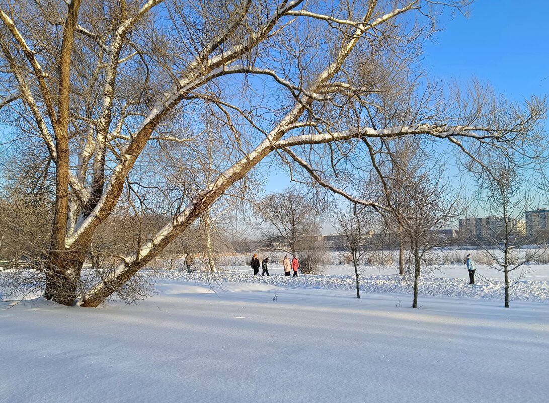 Солнечным днём в январе - Мария Васильева