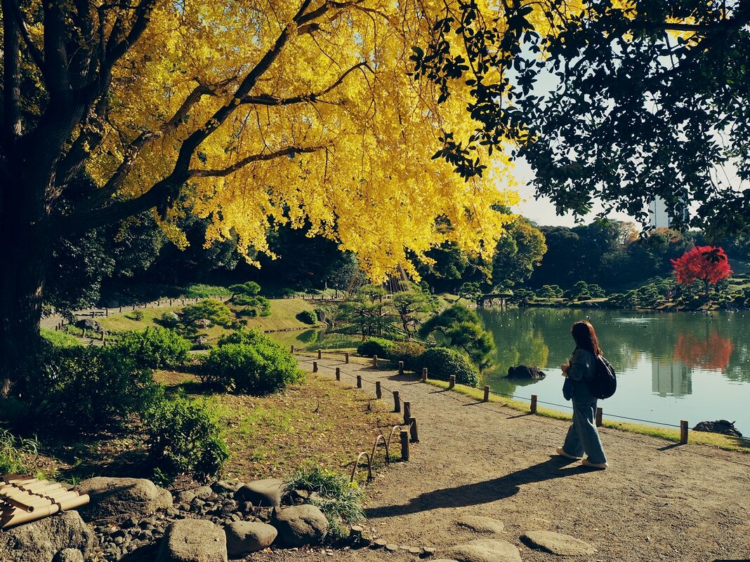 Зима в Токио - Civetta ***