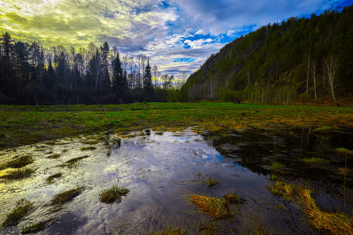 Отражение весны. - Юрий кот