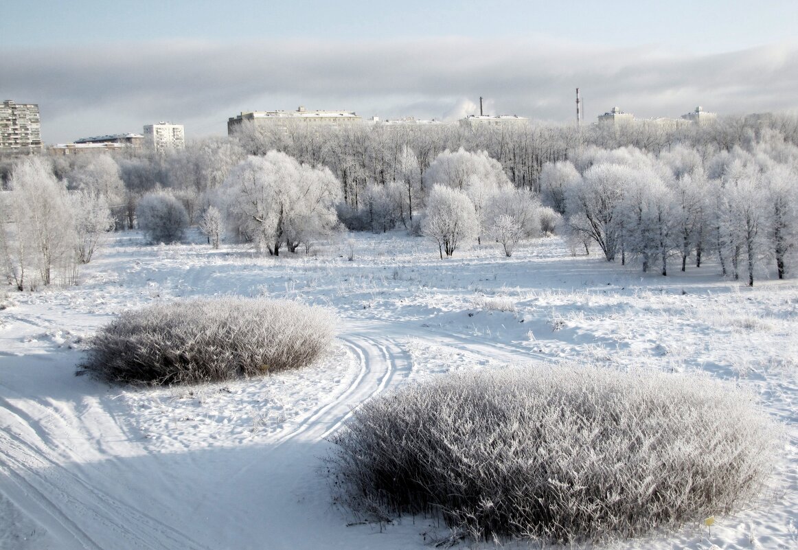 Зимний пейзаж - жанна нечаева