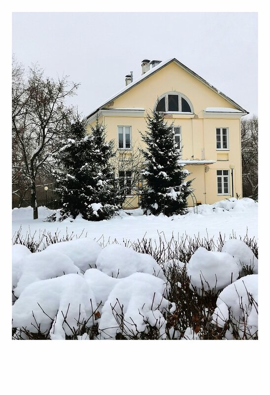 *** - Любимова Ольга 