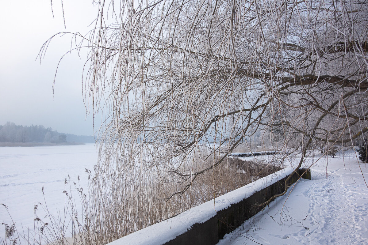 *** - Геннадий Порохов *** - Геннадий Порохов