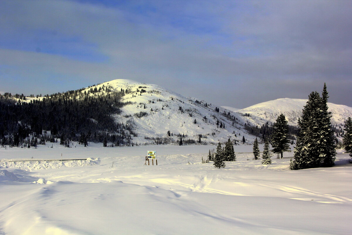 ** - Vlad Сергиевич ** - Vlad Сергиевич