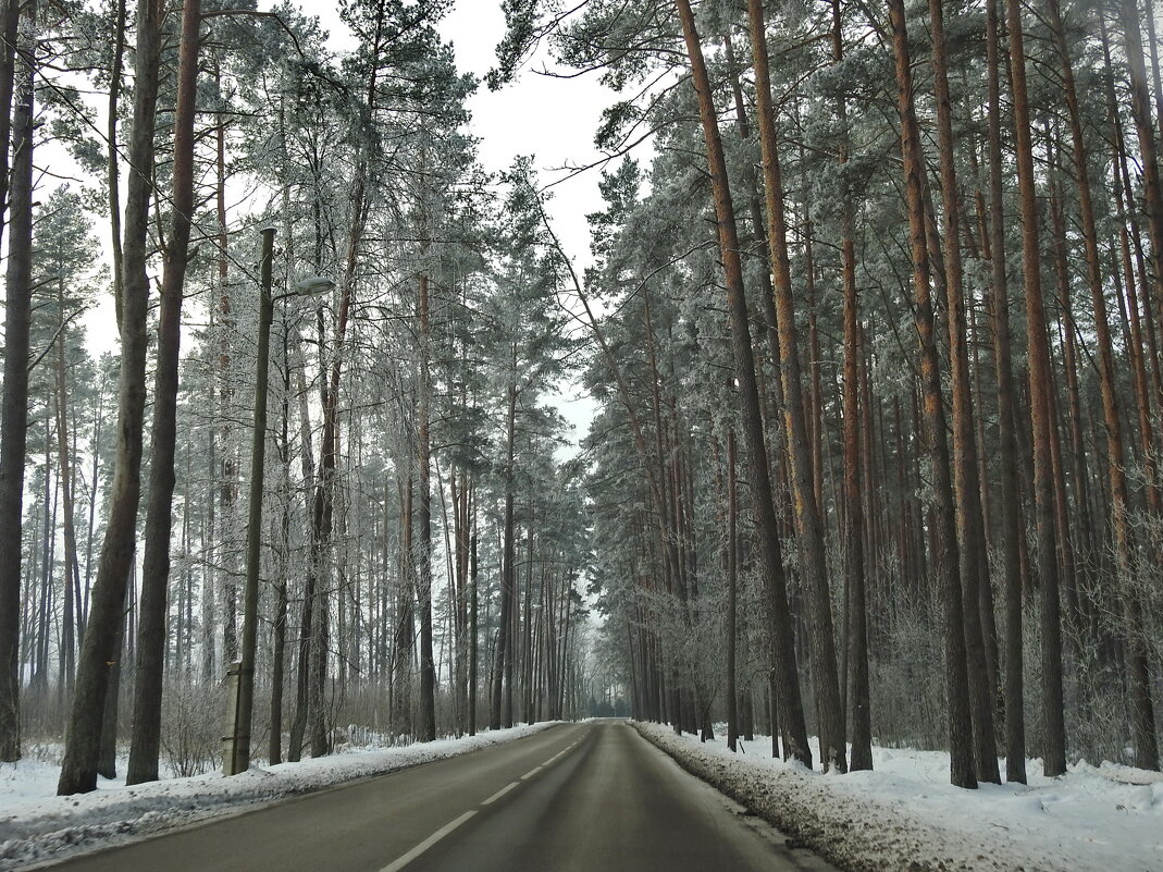 ***** - ИННА ПОРОХОВА