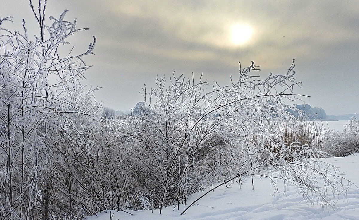 зимний день - ИННА ПОРОХОВА зимний день - ИННА ПОРОХОВА