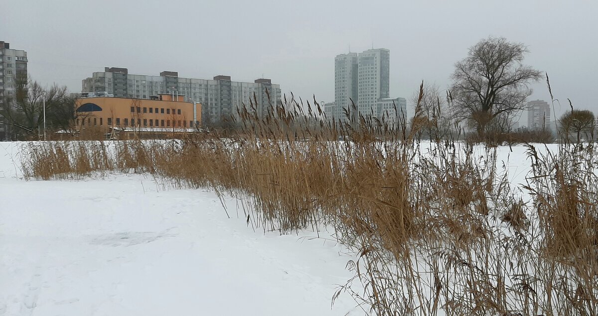 Парк Героев-пожарных - Наталья Герасимова Парк Героев-пожарных - Наталья Герасимова