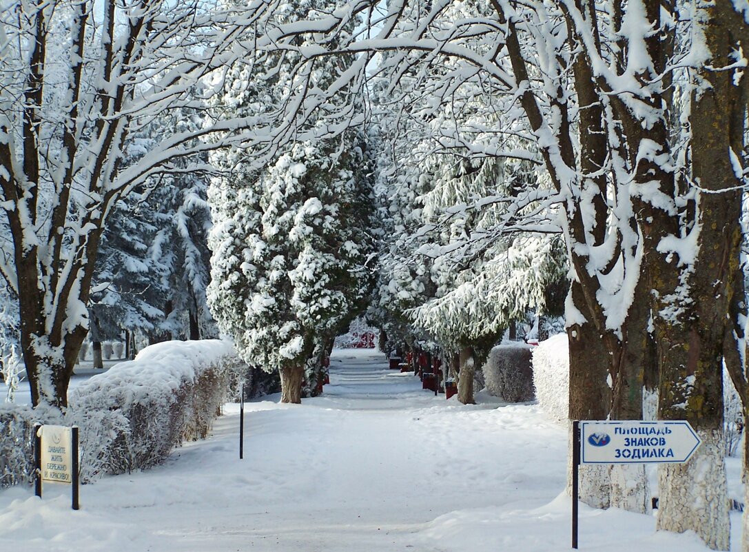 Белоснежно - Nataly St. 
