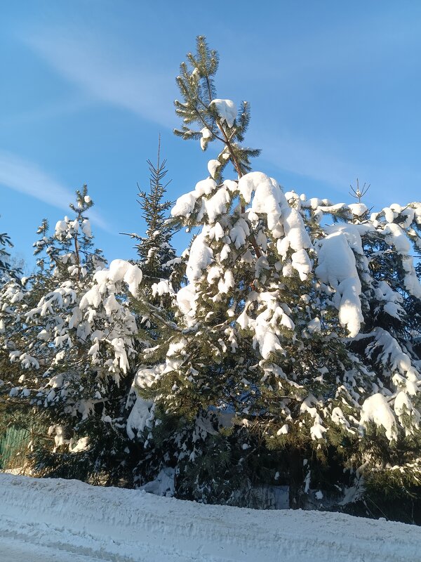 Зима - Леонид Иванчук