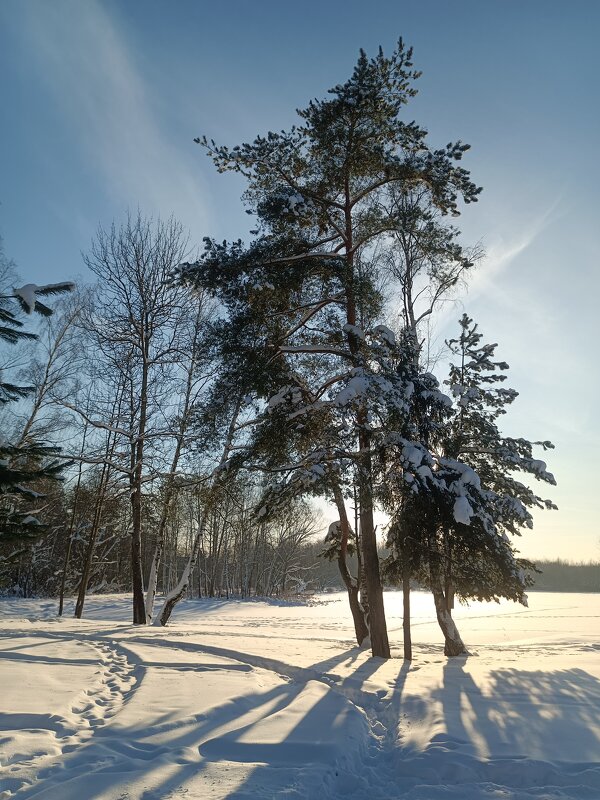 Зимний пейзаж - Леонид Иванчук Зимний пейзаж - Леонид Иванчук