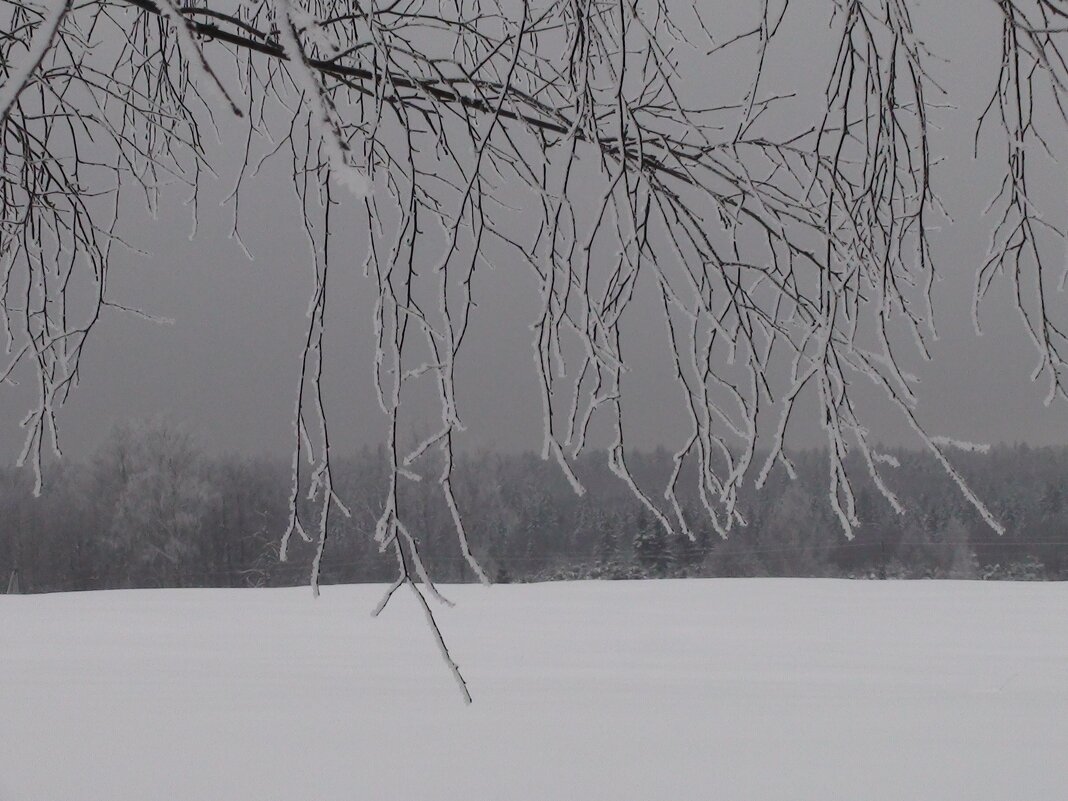 без названия - fogmeadowww m