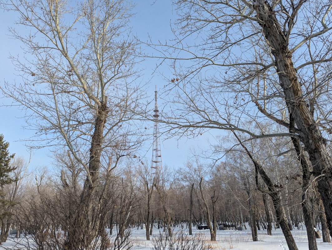 Зимний денек - Андрей Хлопонин