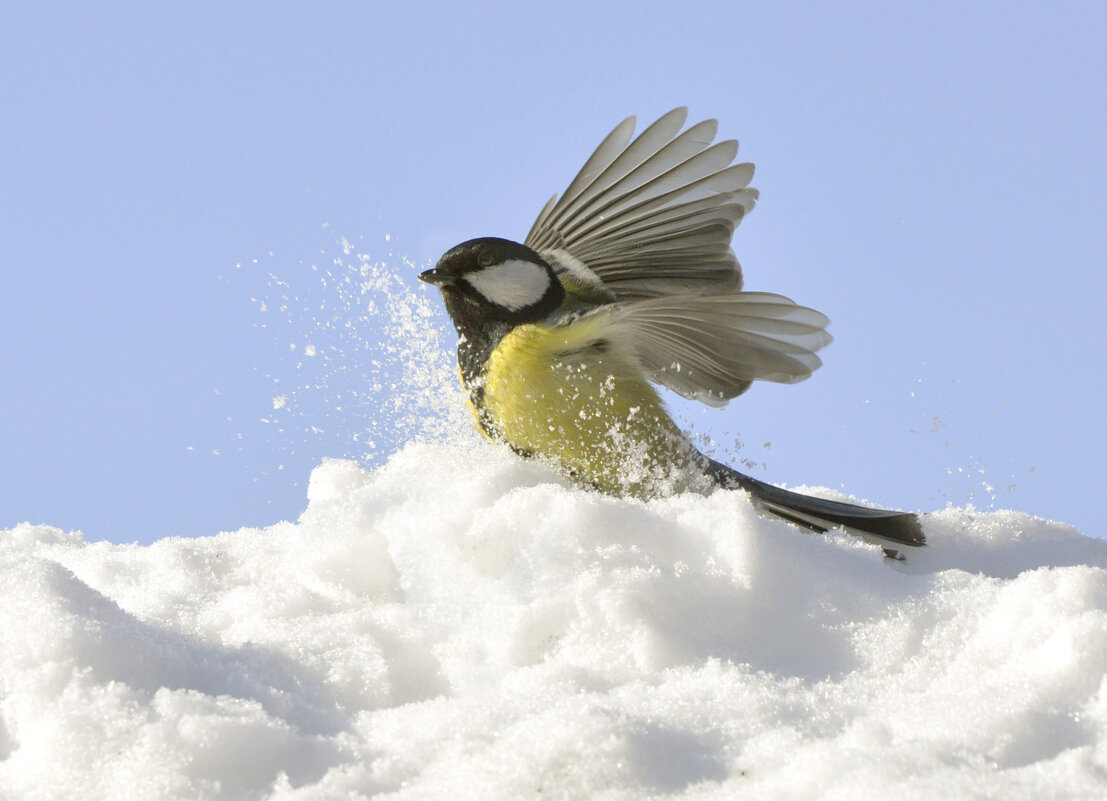 Спурт. - Михаил Белоусов