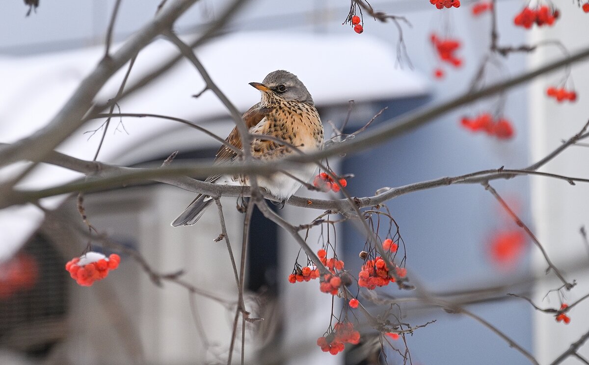 Есть, что поклевать - Валерий Иванович