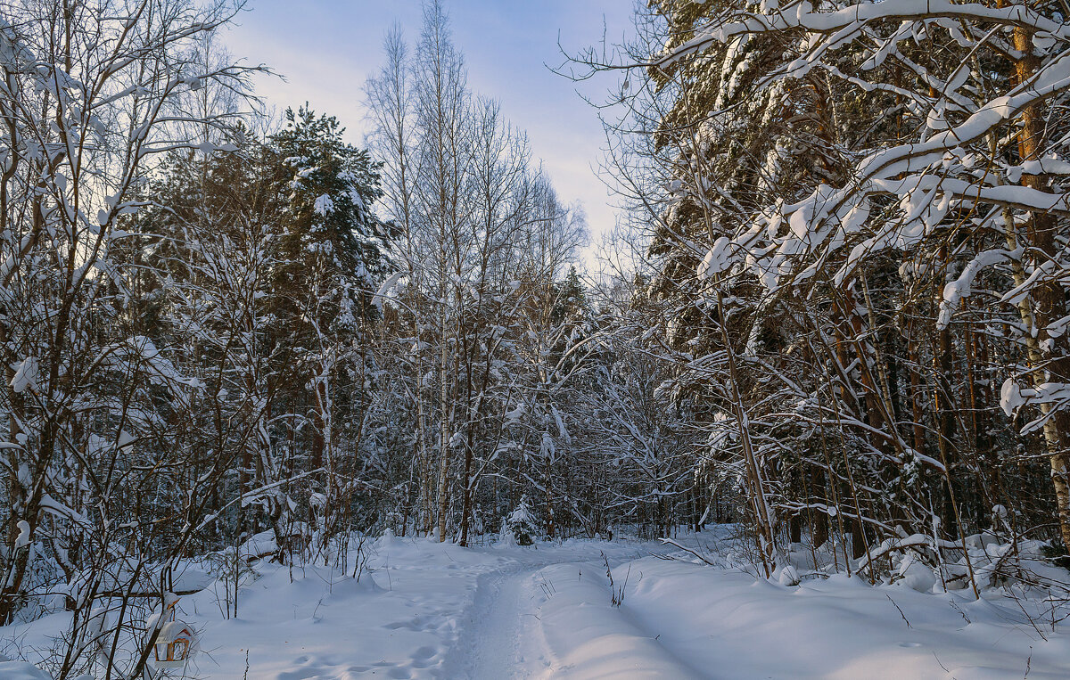 Дорожка на родник - Сергей Цветков