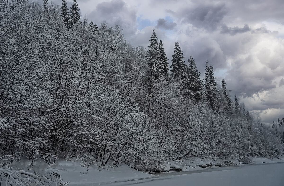 Тайга зимой - Aleksey Afonin