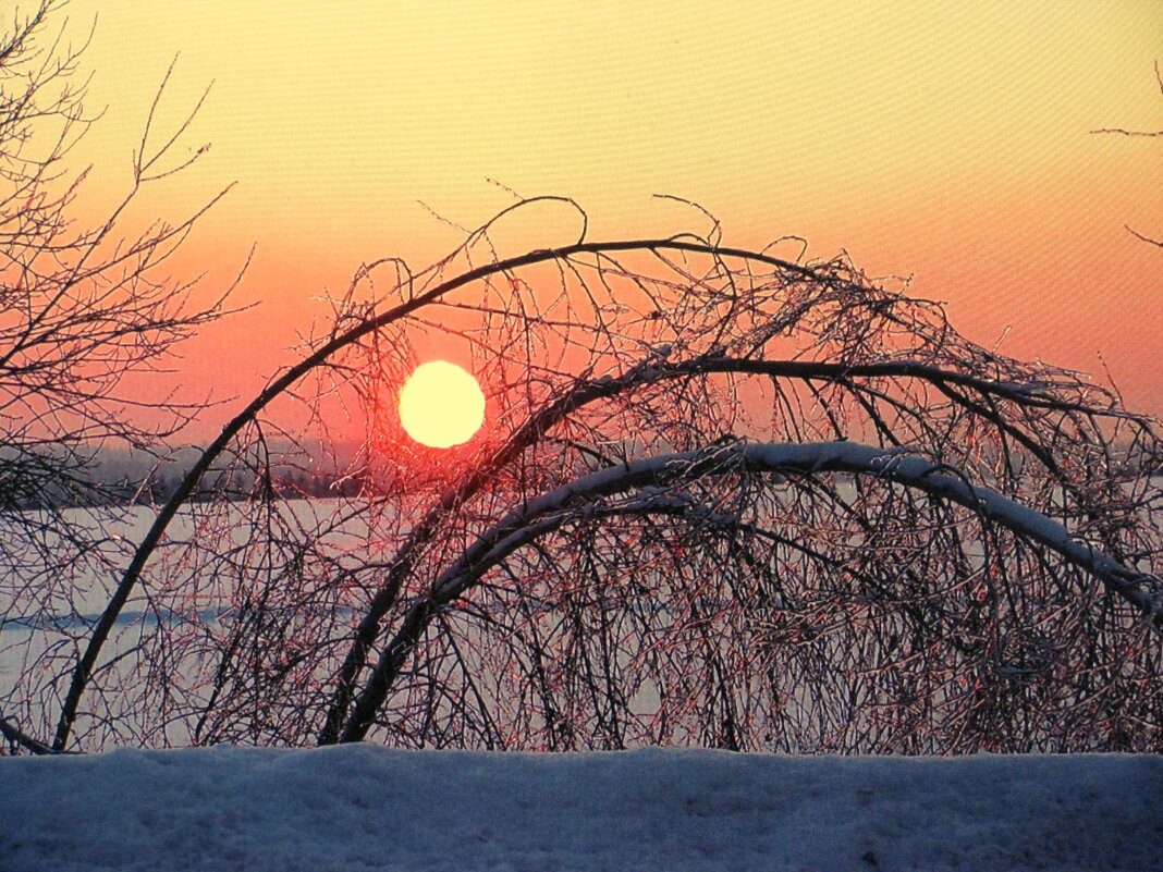На закате - Людмила Смородинская На закате - Людмила Смородинская
