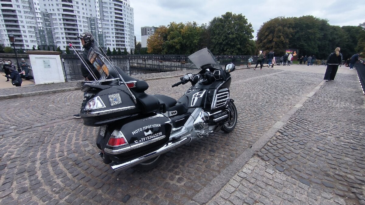 В ожидании седоков. - Ольга В ожидании седоков. - Ольга