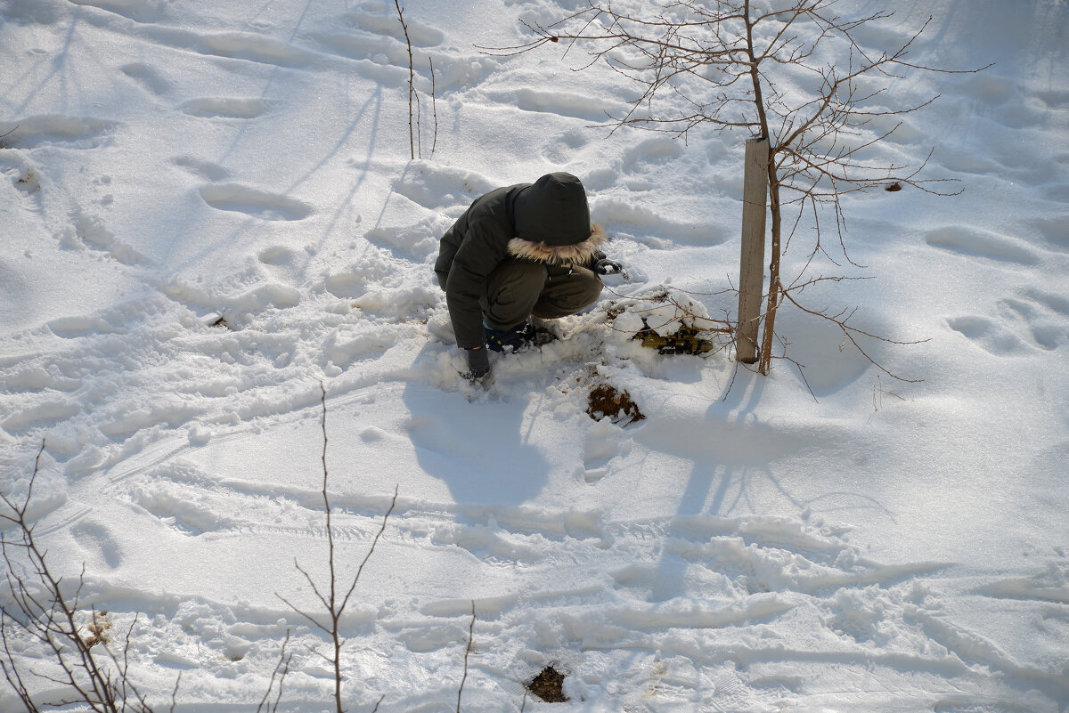 Детские забавы - Анатолий Чикчирный