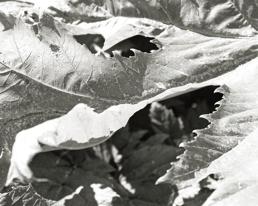 Фотография - Денис Безногов