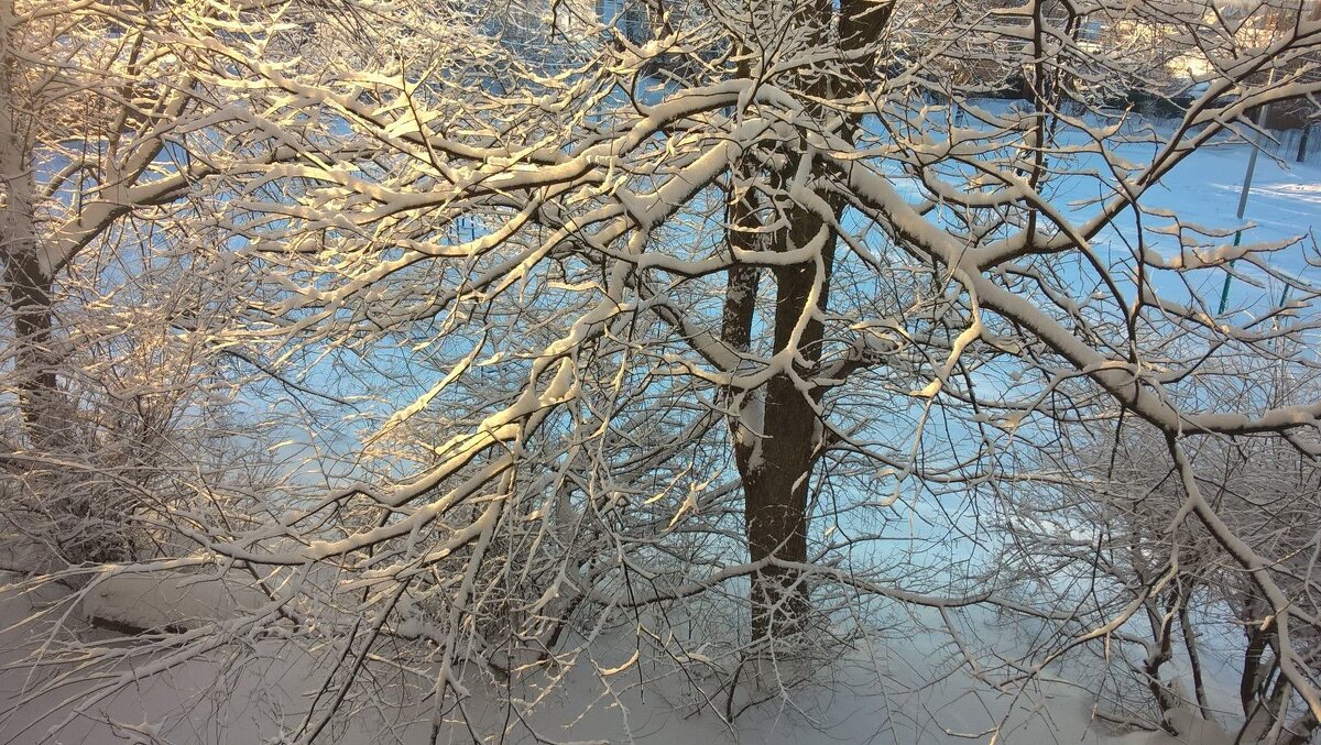 Зима - Елена Семигина