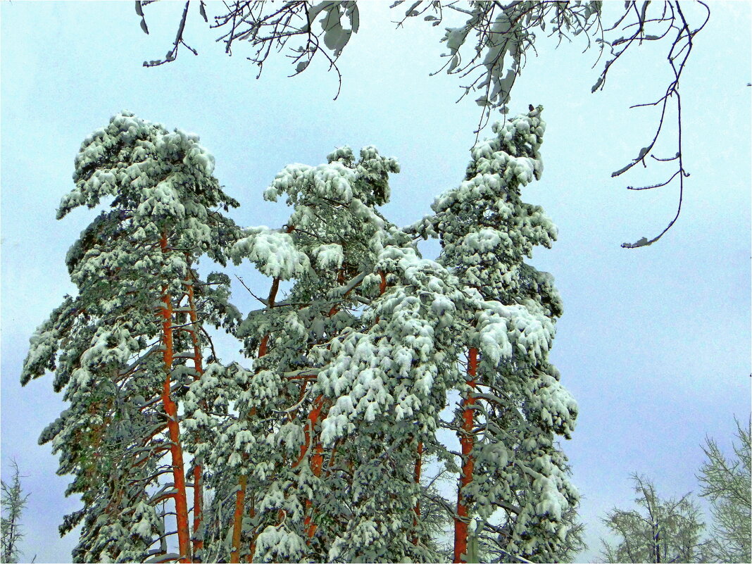 ЗИМА - Юрий Владимирович 34