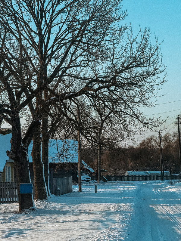 Зима - Анна Пигулевская