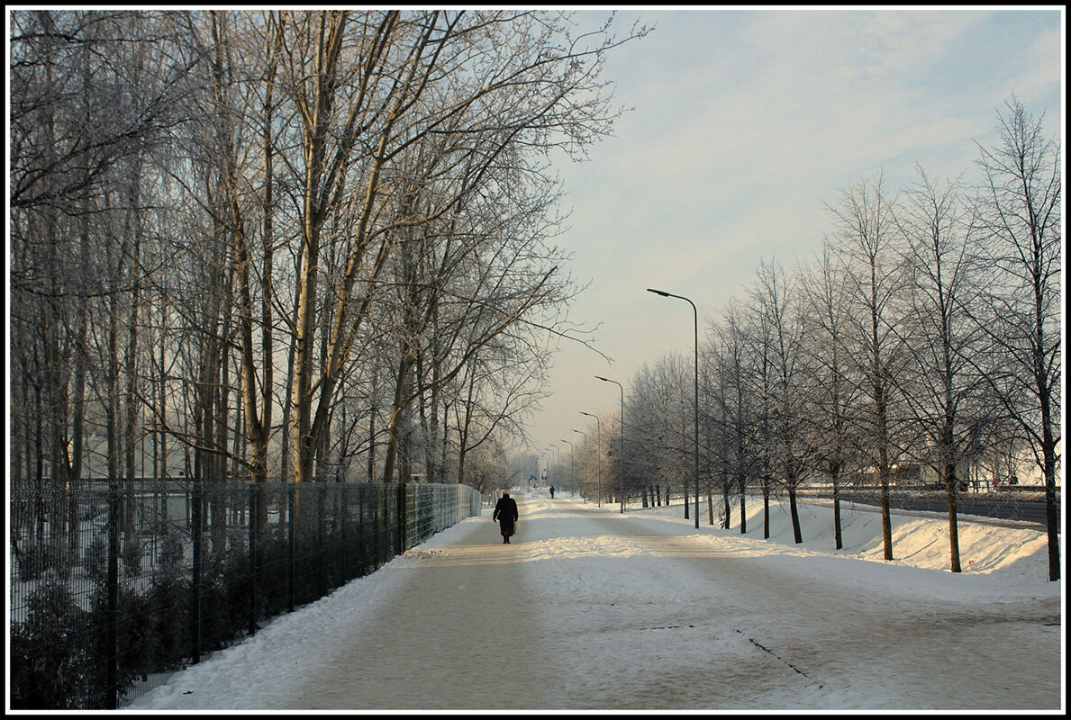 Мороз и солнце - Aleksandr Gal