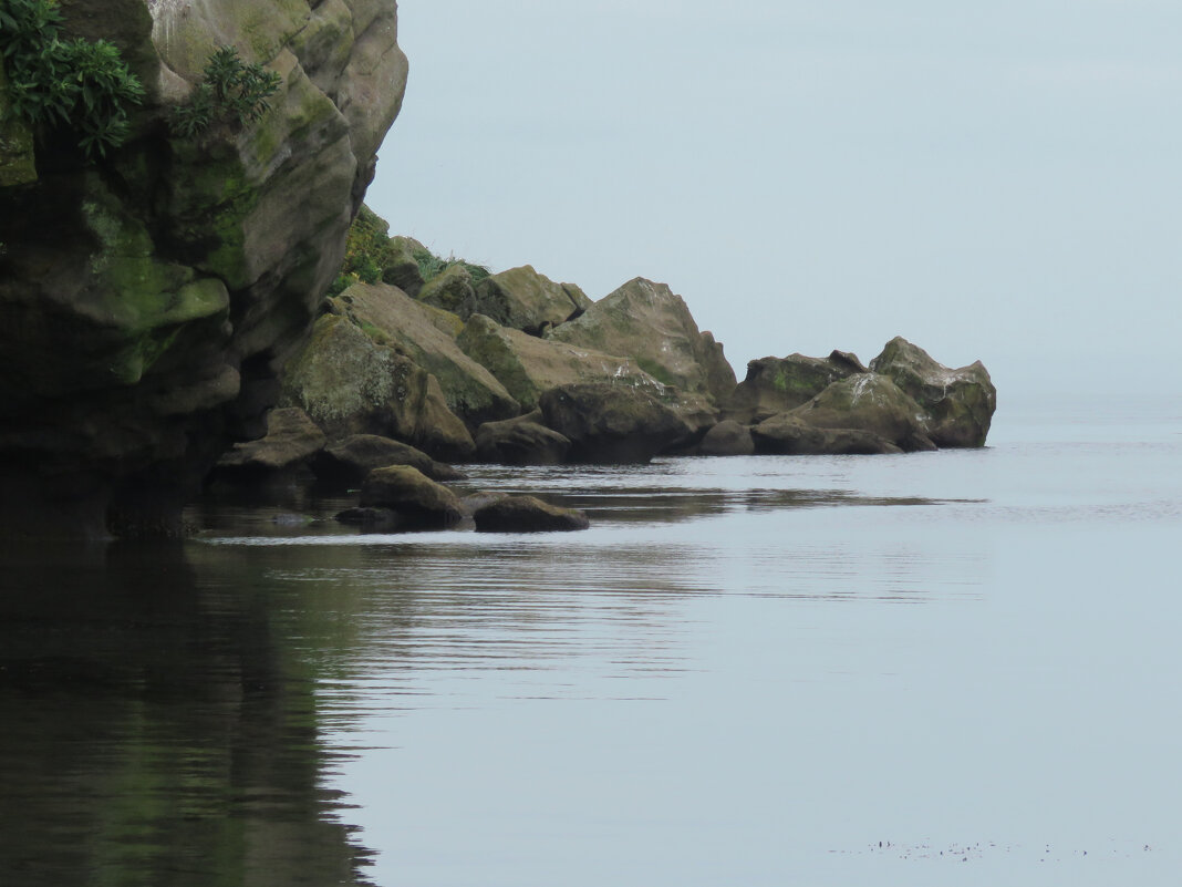 У мыса Кузнецова. Японское море. - ИРЭН@ . У мыса Кузнецова. Японское море. - ИРЭН@ .