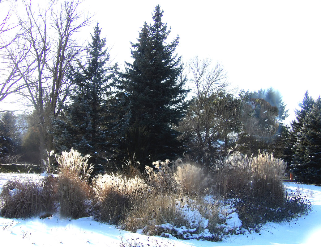 Зимний пейзаж - Валентин Семчишин