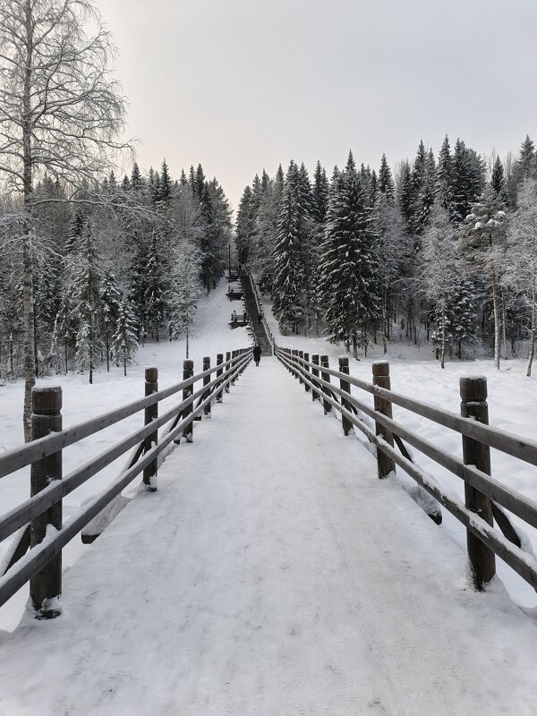 Дорога в чудо - Ольга Чистякова Дорога в чудо - Ольга Чистякова