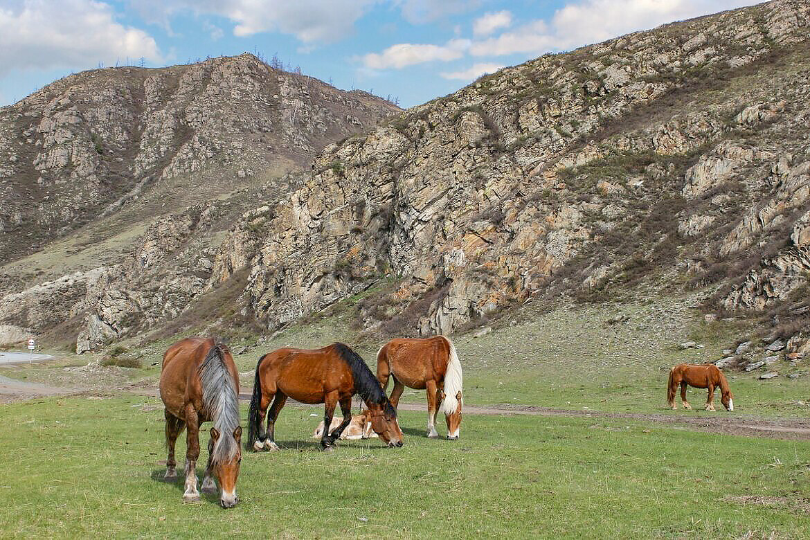 В горах - елена беликова