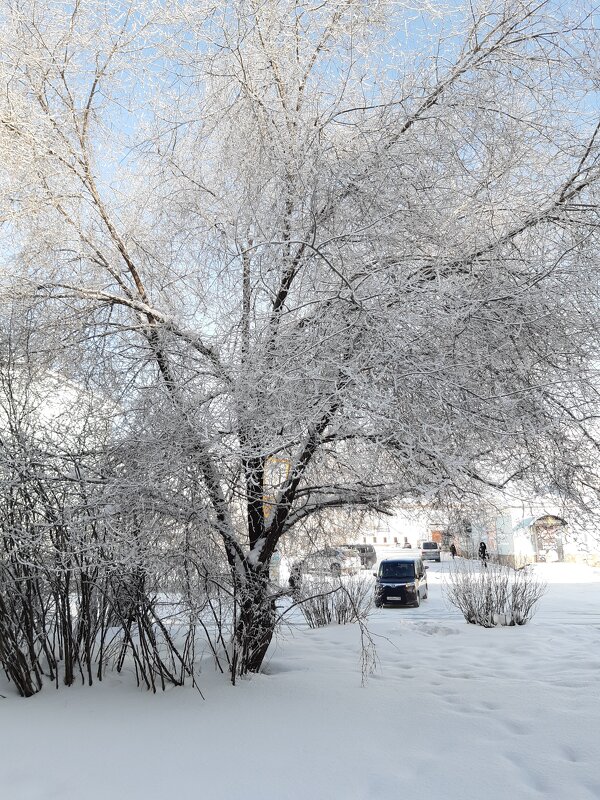 Вот и новый год ... - Галина Минчук Вот и новый год ... - Галина Минчук