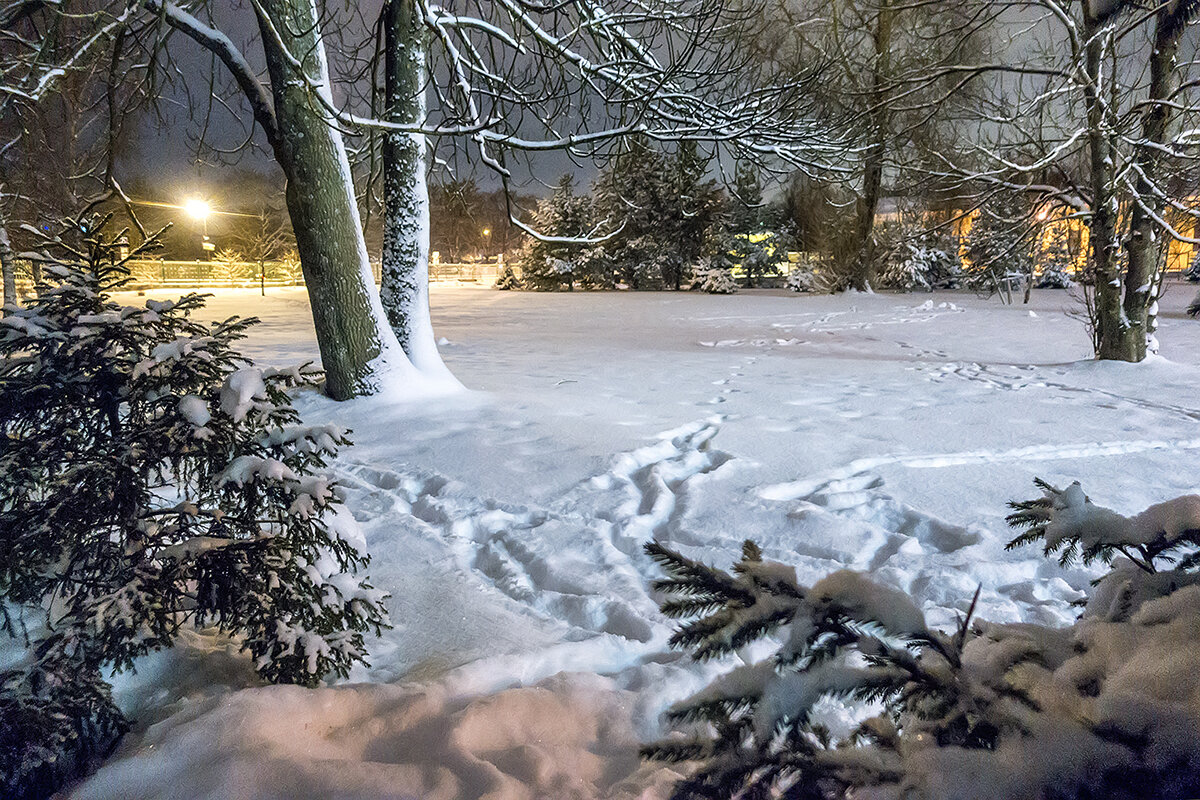 Вечер после снегопада. - Bosanat Вечер после снегопада. - Bosanat