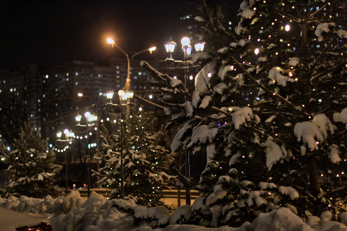 вечерние огонечки - Артём вечерние огонечки - Артём
