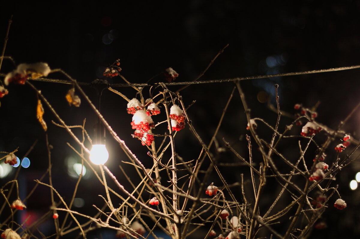 ягодки в ночи - Артём 