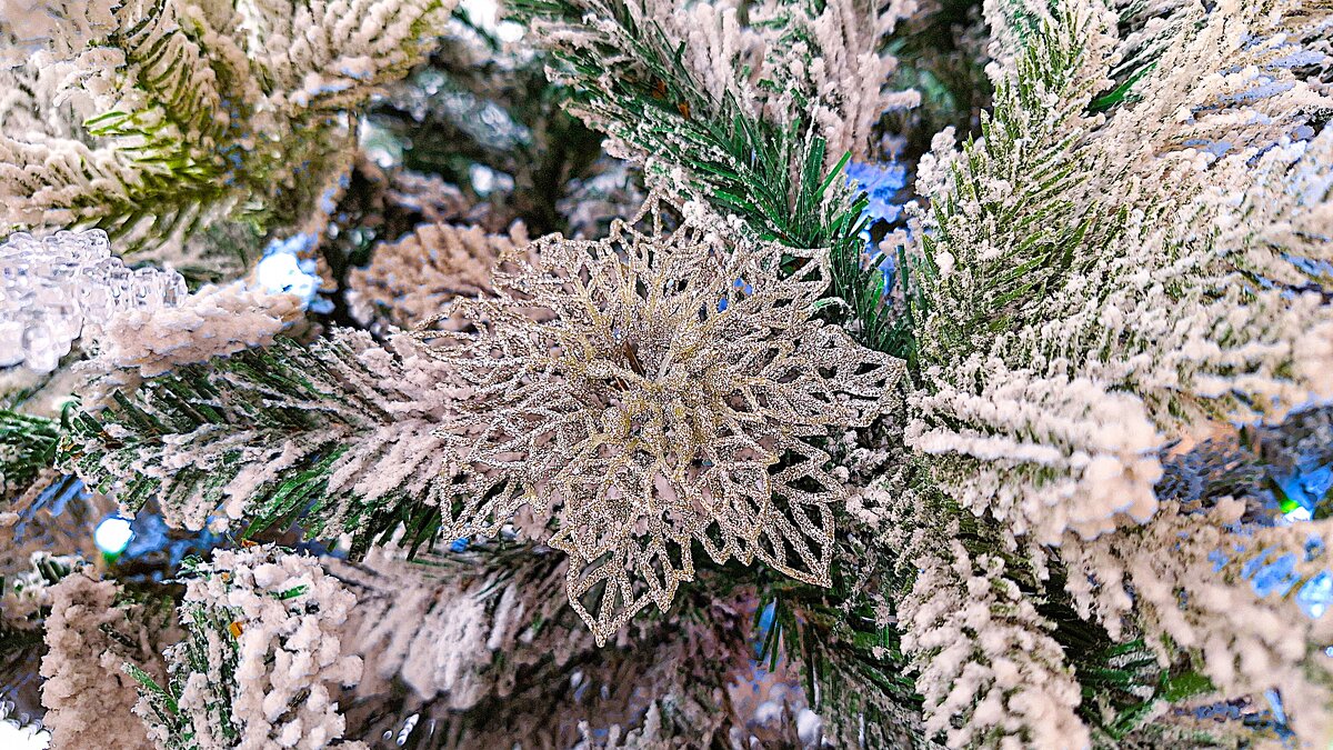 — Что же за всем этим будет? — А будет январь. - Hope 